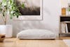 Saatva Dog Bed front