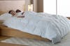 Down Alternative Comforter model1